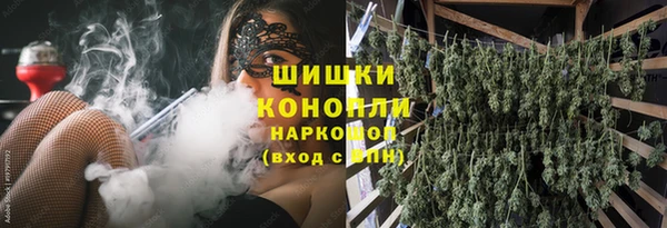 spice Беломорск